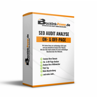 SEO Audit Analyse